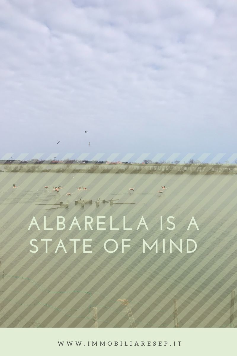 ALBARELLA IS A STATE OF MIND
