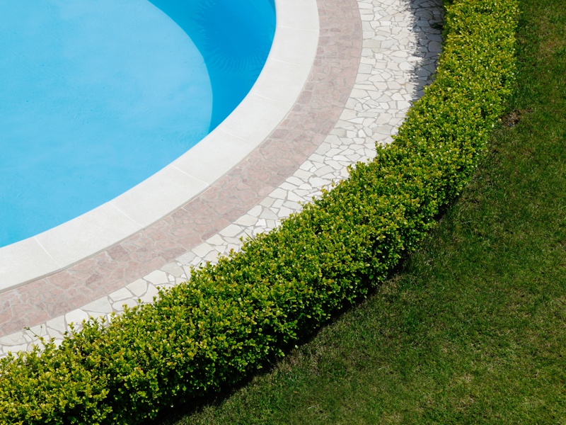 Green Belt and Swimming Pool upkeep Green Belt and Swimming Pool upkeep